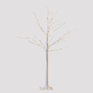 White Birch Tree