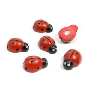 Magnets: Ladybug Magnets (set of 6)