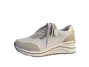 Remonte 1: REMONTE DIXON