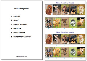 Products: Pub Quiz Pack 1741