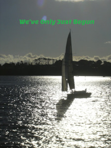 We've Only Just Begun - Euphonium or Baritone Quartet