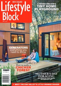 Animals Birds Dragons - STICKERshop.nz: Eagle Head