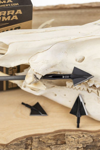 Products: Terra Firma Venator Broadheads 3 Pack StickShooterSupplies