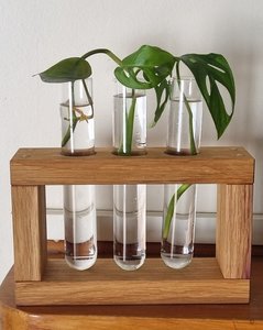 Propagation station / Bud Vase