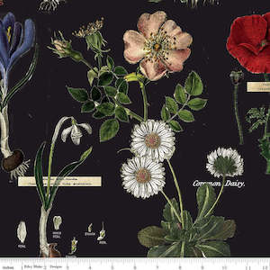 Art Journal Botanicals in Black