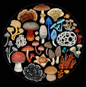Fungi Round 1000 pc Puzzle