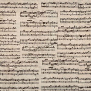 A Discount Voucher Collection: Classically Yours Musical Lines in Cream