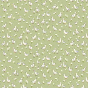 A Discount Voucher Collection: Little Ones Ducks in Green