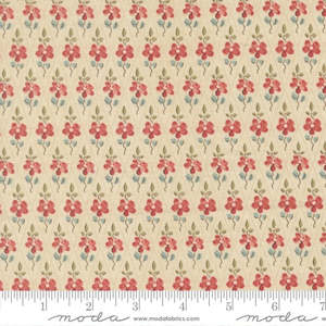 French General: Fleur de Paris Paquerette in Pearl