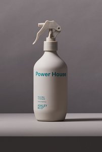Accessories Giftware: Ashley & Co Power House - Tui & Kahili