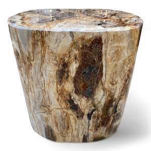 Luxury Petrified Side Table Height 51.5cm x 40cm x 51cm (2935)