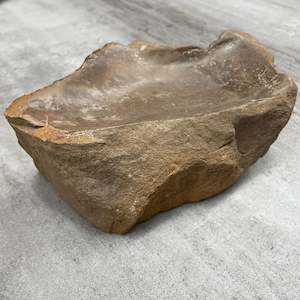 Raw Petrified Wood Natural Stone Luxury Dish & Bowl (PD15)