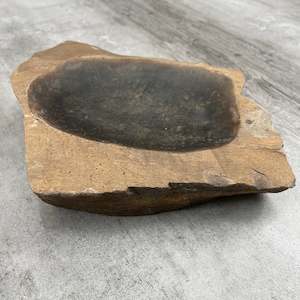 Raw Petrified Wood Natural Stone Luxury Dish & Bowl (PD10)