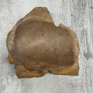 Raw Petrified Wood Natural Stone Luxury Dish & Bowl (PD9)