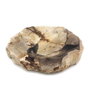 Luxury Petrified Wood Soap Dish: Luxurious Petrified Wood Soap Dish & Tray 4.5cm x 12.5cm x 2cm (1788)