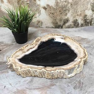 Luxury Petrified Wood Stone Platter Tray Rare Product 36cm x 26cm x 5cm (1848)