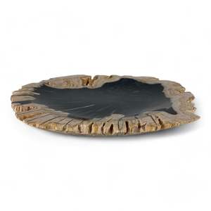 Petrified Wood Natural Stone Plate | Platter 320mm x 320mm x 30mm (2420)