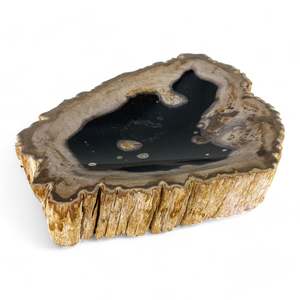 Petrified Wood Natural Stone Plate | Platter 360mm x 240mm x 50mm (2417)