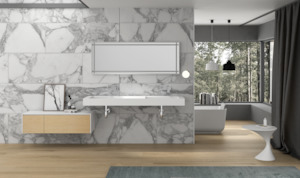 Wall Hung Basins: Ramp basin double bowl 2000mm wall hung G38685