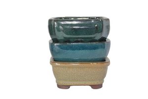 Plants: Bonsai Pot