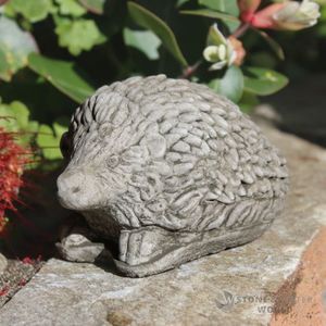 Midi Hedgehog (20% OFF)