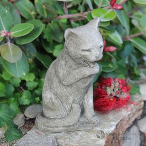 Dragonstone: Midi Licking Cat