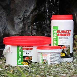 Ponds & Pond Care: Cloverleaf Blanket Answer