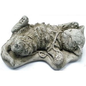 Animals: Sleeping Kitten