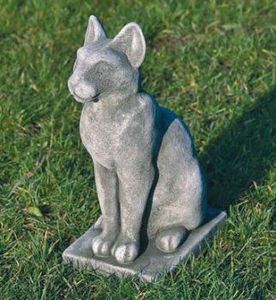 Animals: Small Pharoah Cat