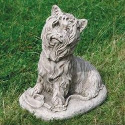 Animals: Large Yorkshire Terrier