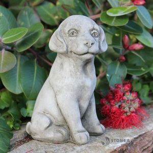 Animals: Midi Sitting Puppy