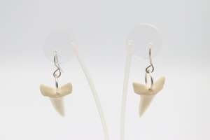 Whalebone Shark tooth Earrings