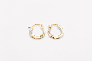 Gold Earrings: 9ct Gold rounded side Hoops 60BS540/99