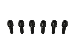 Frontpage: Titanium Stem Bolts - M6