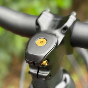 Frontpage: Titanium Top Cap Bolt - M6