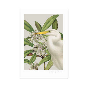Birds & Botanics Heron Print