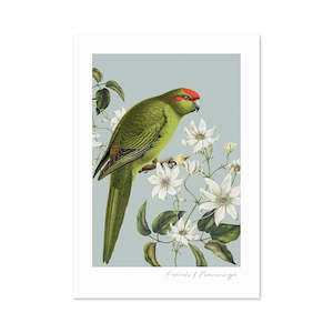Small Prints: Birds & Botanics Kakariki Print