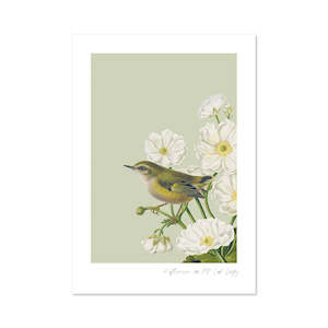 Small Prints: Birds & Botanics Rifleman Print