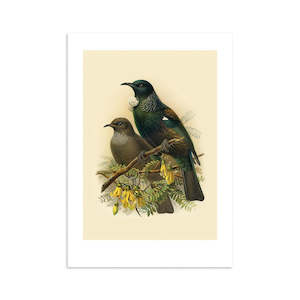 Tui Buller's Bird Print