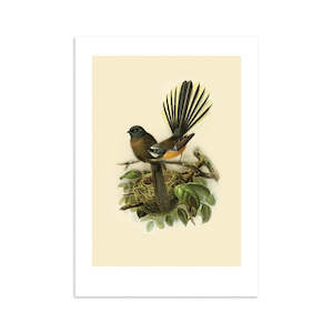 Fantail Buller's Bird Print