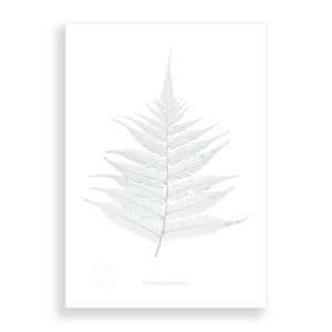 Artists Prints: Flora Silver Fern A2 Print