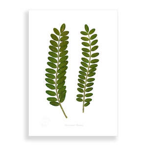 Artists Prints: Flora Kowhai A2 Print