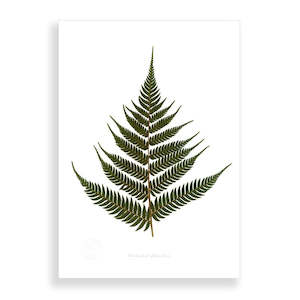 Artists Prints: Flora Green Fern A2 Print