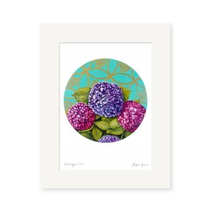 All Artists: Angie Dennis - Hydrangea Art Print
