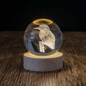 Led Lights: Kingfisher LED Globe