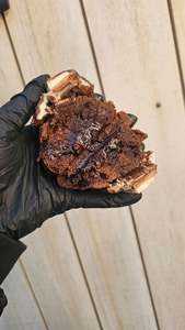 Stuffed Cookies: Dark Choc Mint
