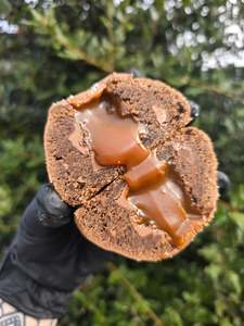 Stuffed Cookies: Salted Caramel Cookie