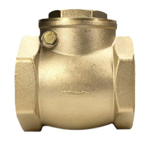 Products: 40mm Flap Check Valve - StoreIt4Less