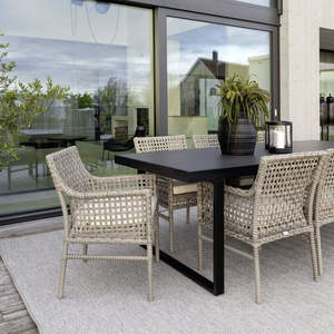 Santa Monica Dining Chair