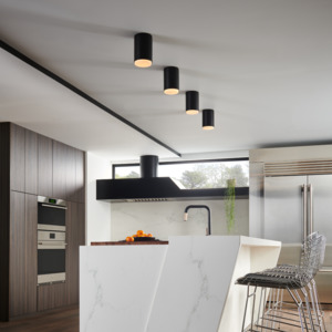 Ceiling Light: Cedric 1 Light Flush Ceiling Mount by Hinkley Lighting